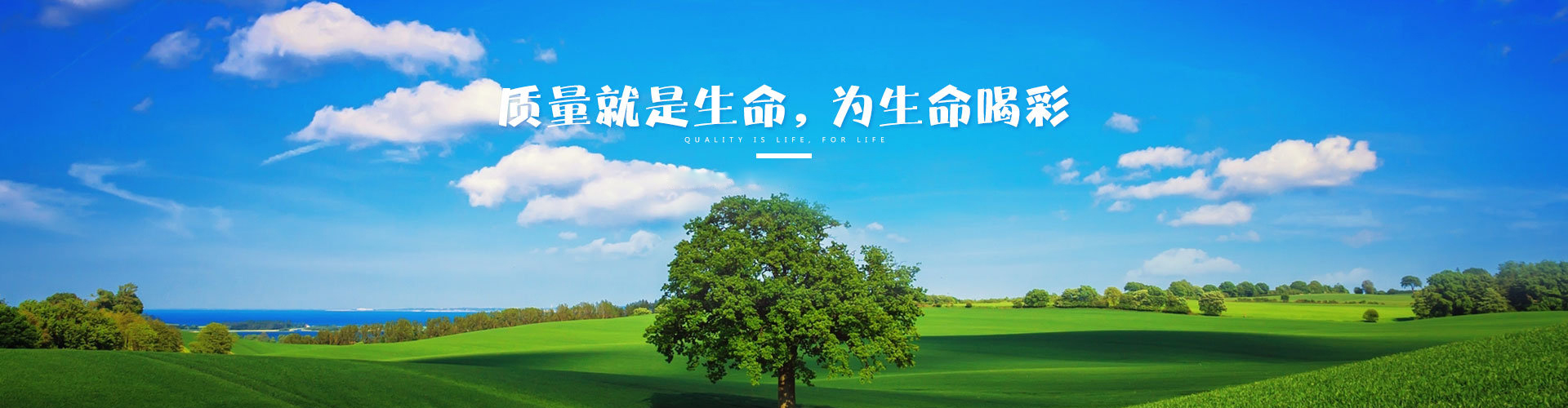 江苏中韦环保机械有限公司